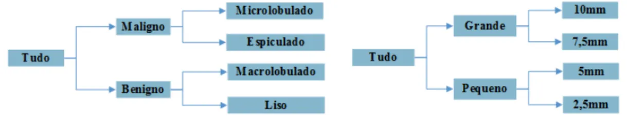 Figura 2.3: Arquiteturas de classificação (adaptado de [17])