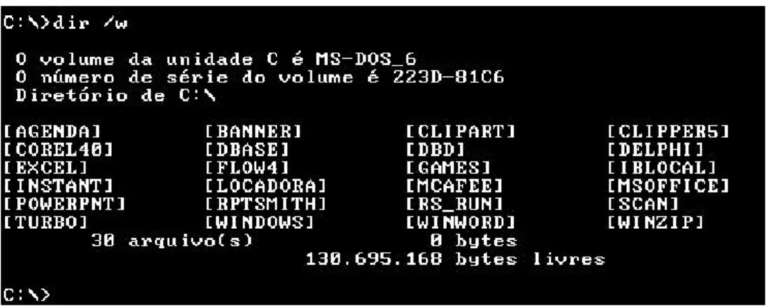 FIGURA 2.3 – Tela de console do MSDOS v 6.0 - Met´afora do Console