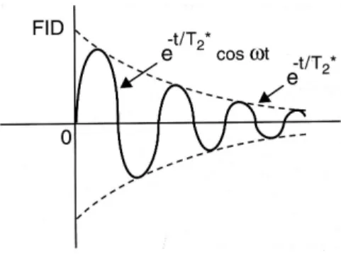 Figura 4 – Decaimento de indução livre (FID) – Adaptado de Hashemi e Bradley (1997) (12) 