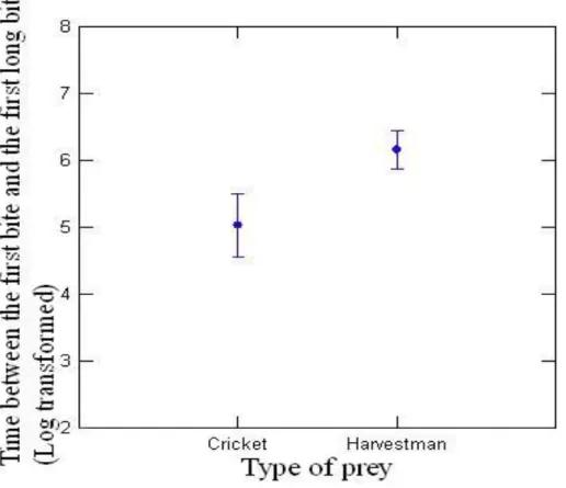 Figure 2. Time between the first bit and the first long bit in harvestmen (N = 15) and crickets  (N = 15)