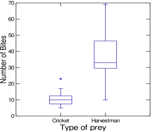 Figure 3. Number of bites performed by Loxosceles gaucho when preying upon crickets   (N = 16; max = 23; min = 1) and harvestmen (N = 20; max = 69; min = 1)