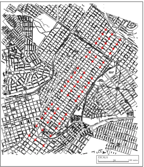 Figura 2. Área de estudo situada na zona urbana de Uberlândia  (MG), destacando as três avenidas utilizadas como transectos, com  os pontos de amostragem em vermelho