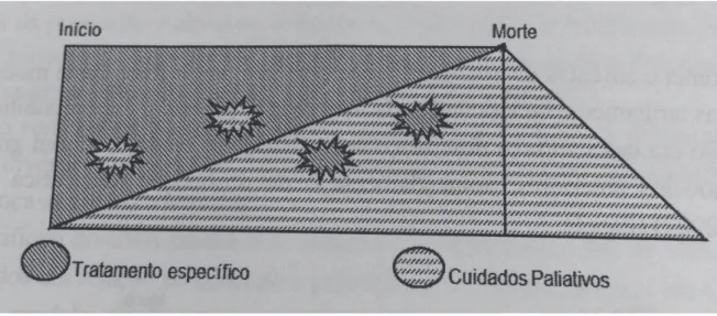 Figura 1 - Modelo cooperativo com intervenção nas crises 