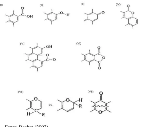Ilustração 3.1- grupos de superfície de caráter ácido: (i) carboxílico; (ii)  fenólico;  (iii)  quinona;  (iv)  lactona  normal;  (v)  lactona  tipo  fluorescência; (vi) anidrido originado de grupos carboxílicos vizinhos