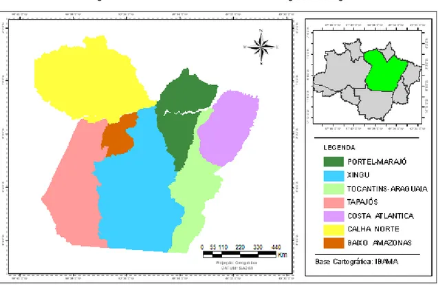 Figura 3 – Divisão do estado do Pará em regiões hidrográficas. 