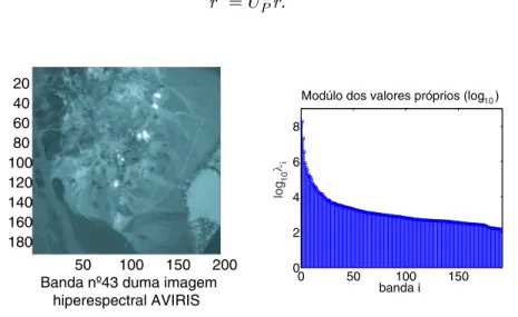 Figura 1: Esquerda: Banda de imagem hiperespectral A VIRIS (canal 0:76m); Direita: M odulo