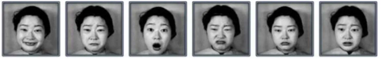 I  lustração 2.2: As seis expressões faciais básicas. Fonte: Ekman e Friesen [33] Ilustração 2: As seis expressões faciais básicas