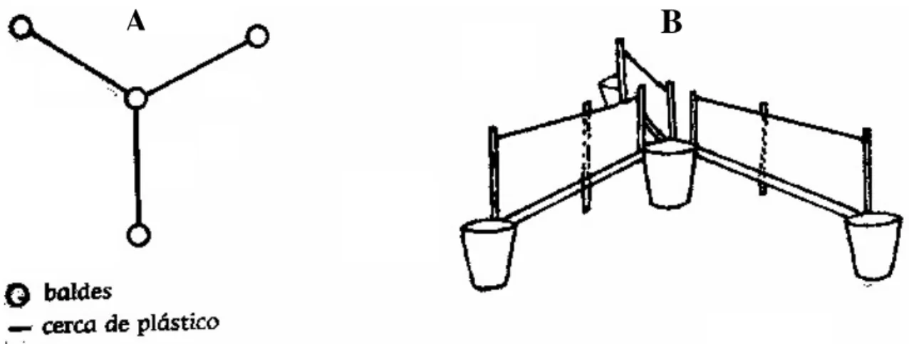 Figura 1 – Esquema de uma estação de armadilha de interceptação e queda (A – vista de  cima; B – vista em perspectiva)