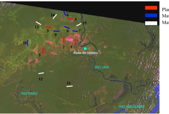 Figura 7 – Imagem de satélite da área de estudo com a localização dos pontos de coleta (1 