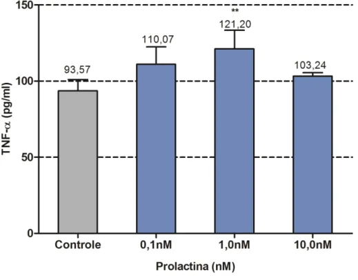 Figura  14.  Efeitos  da  PRL  (0,1;  1  e  10nM)  na  secreção  de  TNF- α   em  células  da  linhagem B95a por um período de 18 h