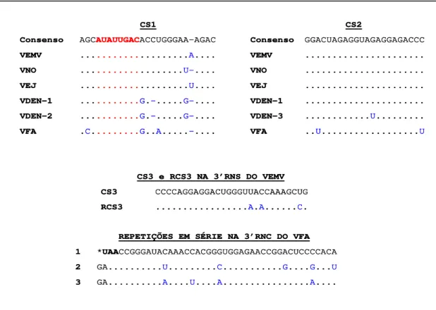 Figura 7 – Sequências nucleotídicas de alguns motivos conservados na região 3’RNC do  genoma de flavivírus transmitidos por mosquitos