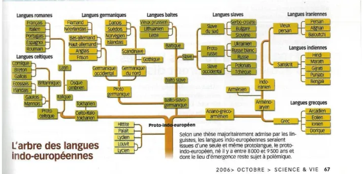 Figura 1 – Árvore das línguas indo-europeias (in Bourgeois, 2006: 67) 