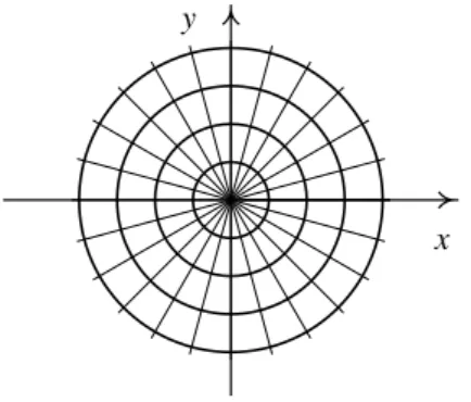 Figura 3.2: Fam´ılia de c´ırculos com centro na origem e trajet´orias ortogonais.