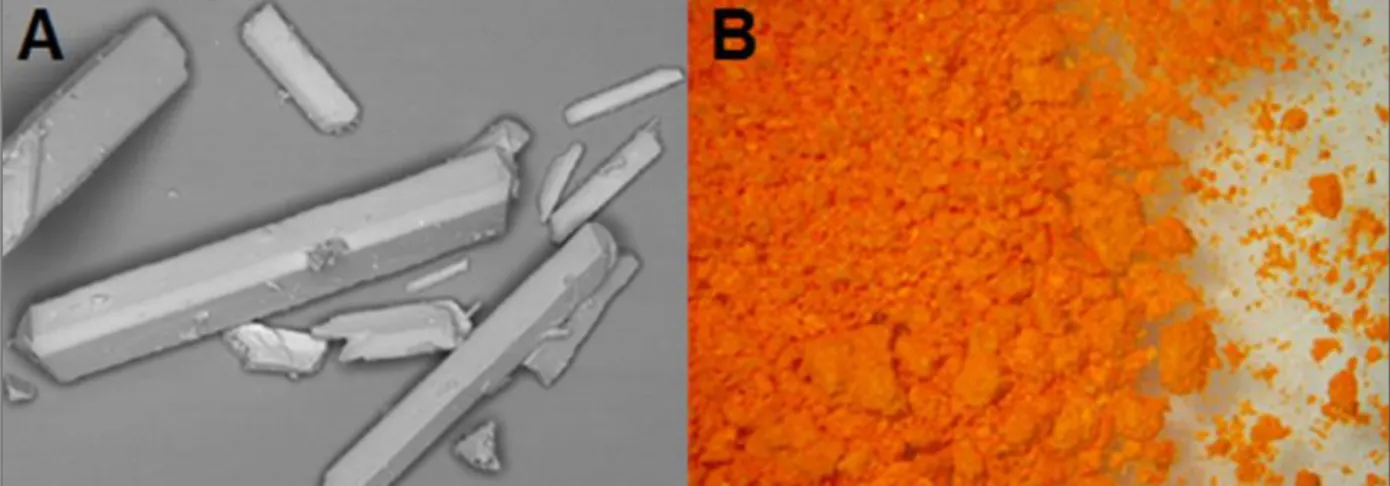 Figura 2.  Cristais de β-lapachona. (A) Aspecto microscópico; (B) Aspecto macroscópico