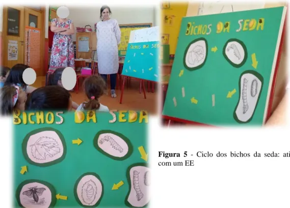 Figura  5  -  Ciclo  dos  bichos  da  seda:  atividade  com um EE