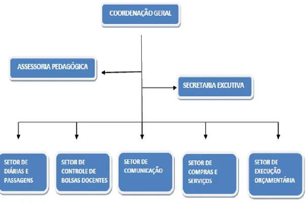 Figura 4: Organograma da estrutura administrativa do PARFOR na UFPA 