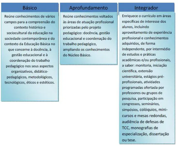 Figura 6: Divisão por núcleos do currículo 