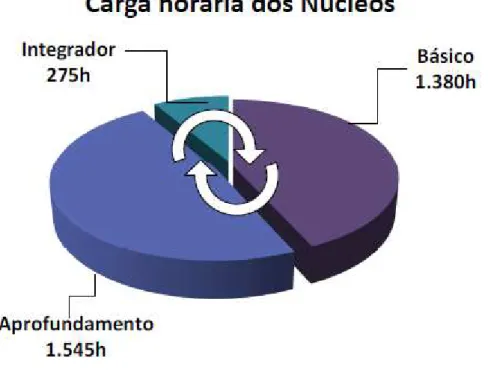 Gráfico 5: Distribuição da carga horária por núcleos do currículo 