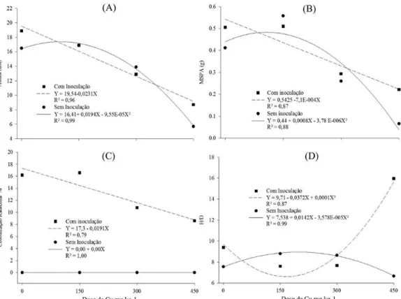 TABLE 1: Height, shoot dry mass (SDM), percentage of root colonization (PRC) and ratio of  height/stem diameter (H/D) of Eucalyptus saligna grown in copper concentrations, and with and without  inoculation of ectomycorrhizal fungus Pisolithus microcarpus.