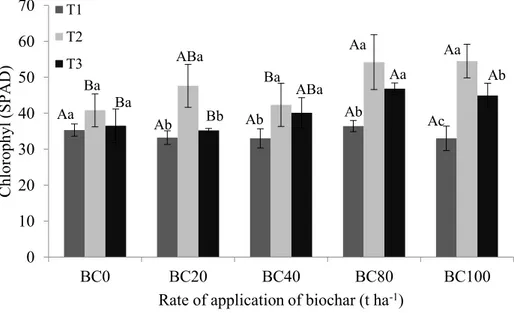FIGURE 1:    Chlorophyll content in the leaves of eucalyptus seedlings treated with sewage sludge biochar (BC) at  different rates of application (0, 20, 40, 80 and 100 t ha -1 ) and at time 1 (T1: day of planting), time 2  (T2: 30 days after planting) and