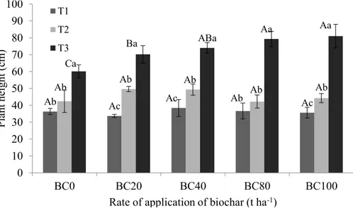 FIGURE 2:  Plant height of eucalyptus seedlings treated with sewage sludge biochar (BC) at different rates of  application (0, 20, 40, 80 and 100 t ha -1 ) and at time 1 (T1: day of planting), time 2 (T2: 30 days after  planting) and time 3 (T3: 60 days af