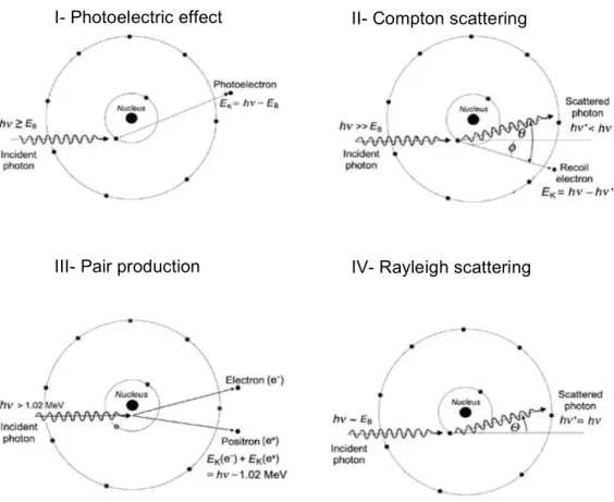 Figure  6:  Schematic  representation  of  the  main  interactions  with  photons  in  matter,  where  (I)  corresponds   to   the   photoelectric   effect,   (II)   to   the   Compton   scattering,   (III)   to   the   pair   production,   and   (IV)   to