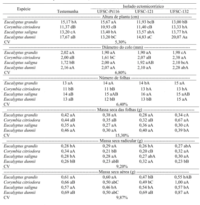 TABELA 1:    Altura de planta, diâmetro de colo, número de folhas, massa seca das folhas, massa seca radicular, mas- mas-sa seca aérea de mudas de Eucalyptus grandis, Corymbia citriodora, Eucalyptus mas-saligna e Eucalyptus  dunnii, inoculados com isolados