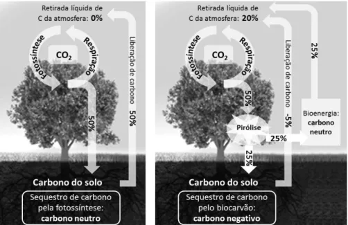 FIGURA 1: Ciclo do carbono e sequestro de carbono pelo uso do biocarvão (adaptado de LEHMANN, 2007a).