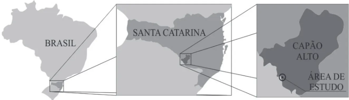 FIGURA 1:    Localização geográfica do remanescente estudado de floresta de ecótono na região do Alto Uruguai em  Santa Catarina.