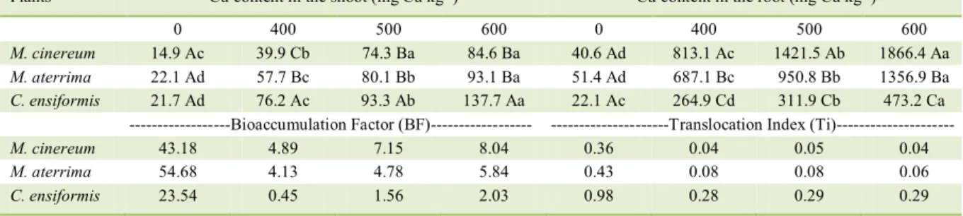 Table 1 - Copper levels in the shoot and root, bioaccumulation factor and translocation index of the summer cover crops Mucuna cinereum,  M.aterrima and Canavalia ensiformis, after growth in uncontaminated and contaminated soils with 400, 500 and 600mg kg 