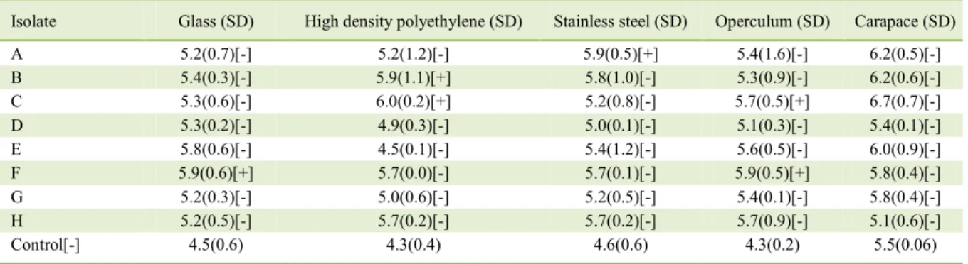 Table 1 - Counts and assessment of  biofilm formation by V. parahaemolyticus on different surfaces (Log/cm²)