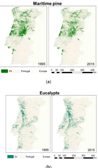 Figure 1. Study area—Forest cover in 1995 (COS1995) and 2015 (COS2015): (a) Maritime pine (Pb);