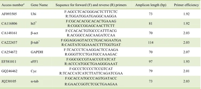 Table 1 - Selected candidate reference gene primers and their parameters. 