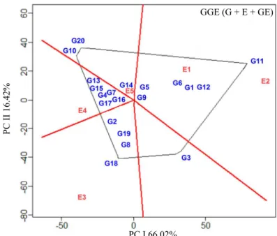 Figure 4.  GGE biplot representing the “which-won-where” graph, referring to the best performance of a given genotype in each  tested seed production environment