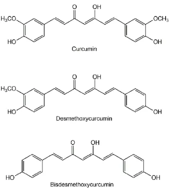 Figure 1 - Chemical structures of the three curcuminoids present in the plant Curcuma  longa L