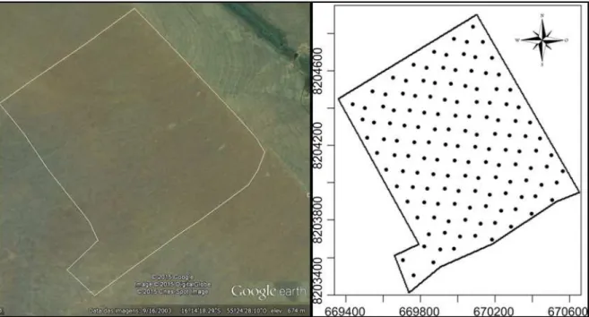 Figure 1.  Georeferenced grid in the production field with 138 sampling points for the collection of soybean (Glycine max L.)  seeds and soil