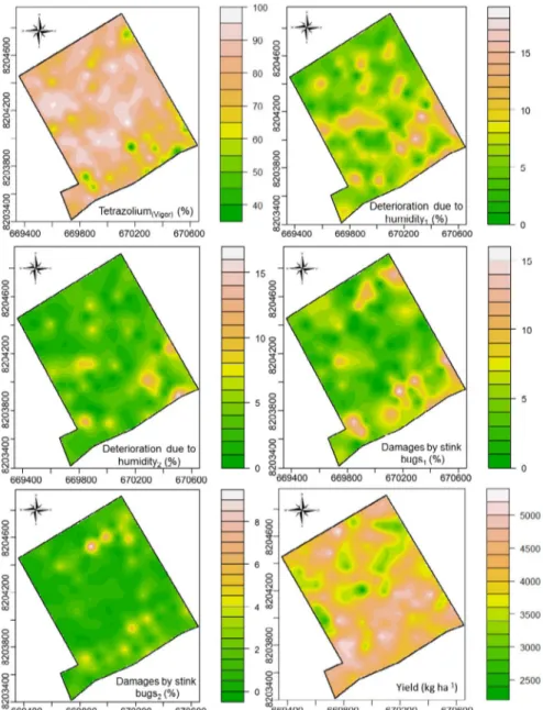 Figure 5.  Kriging maps for vigor according to tetrazolium test, deterioration due to humidity (classes 1 and 2), damages caused  by stink bugs (classes 1 and 2), and yield of soybean seeds (Glycine max L.)