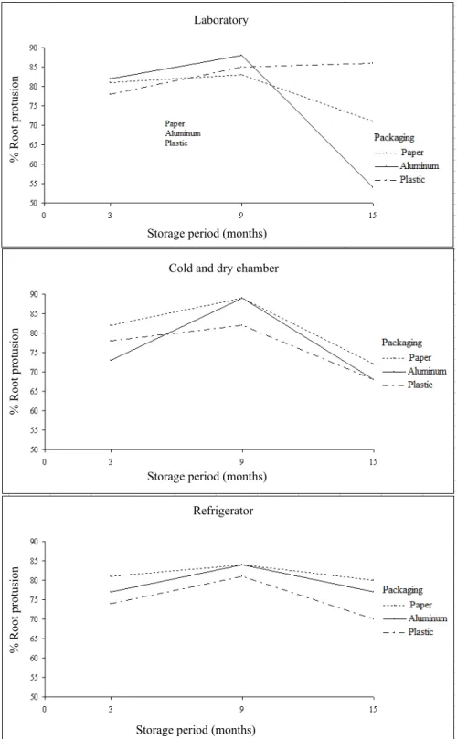 Figure 1.  Percentage  of  root  protrusion  obtained  in  the  first  germination  count  test  of  jatropha  seeds  stored  in  different  packagings and environments.