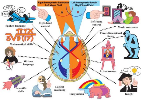 Figure 2.4: Split-Brain.  
