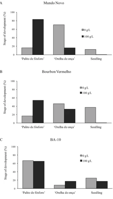 Figure 3.  Percentage of stages of development in seedlings  of three C.  arabica  cultivars coming from seeds  germinated in substrate with the addition of PEG  6000 two months after individual transplanting  in 500 mL pots in a greenhouse and under natur