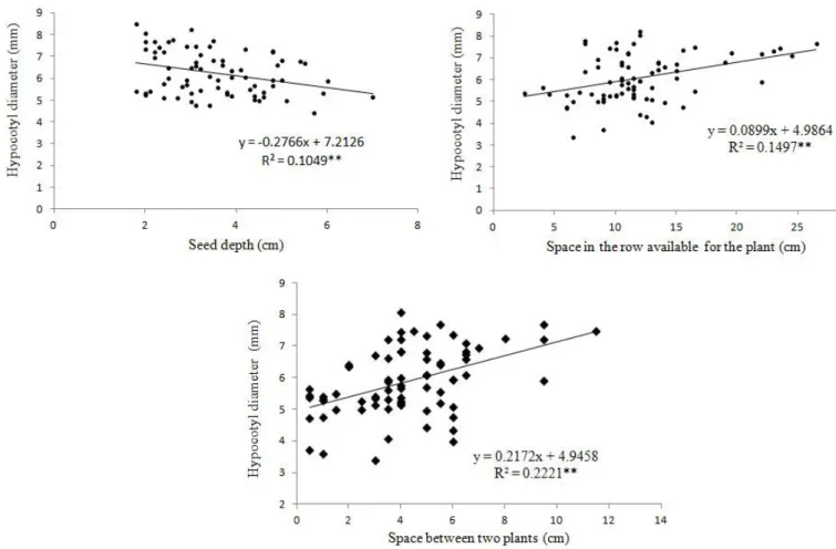 Figure 1.  Relation between hypocotyl diameter and seed depth, space available for the plant in the row, and space between two  plants in the common bean crop