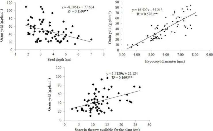 Figure 2.  Relation between plant yield and seed depth, hypocotyl diameter, and total space available for the plant in the common  bean crop