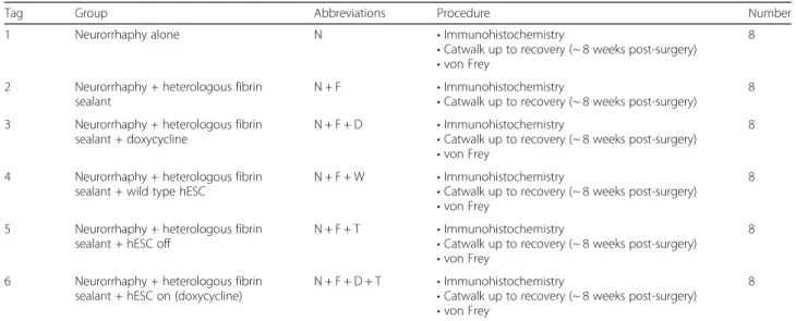 Table 1 Experimental groups and experimental procedures