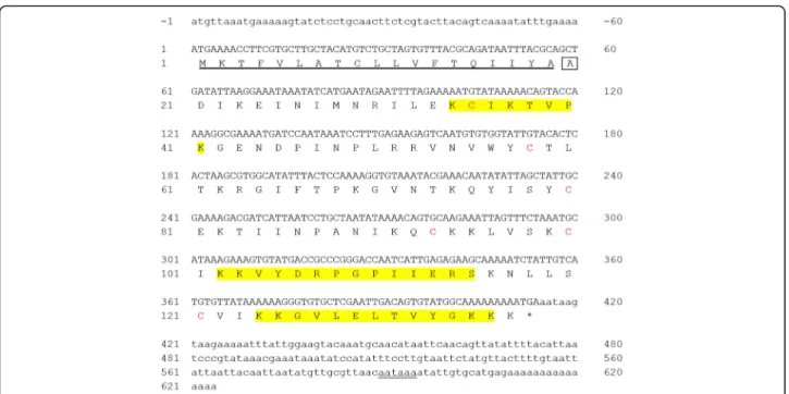 Fig. 1 Full-length DNA sequence and translation of the region encoding the Sol g 4.1 protein