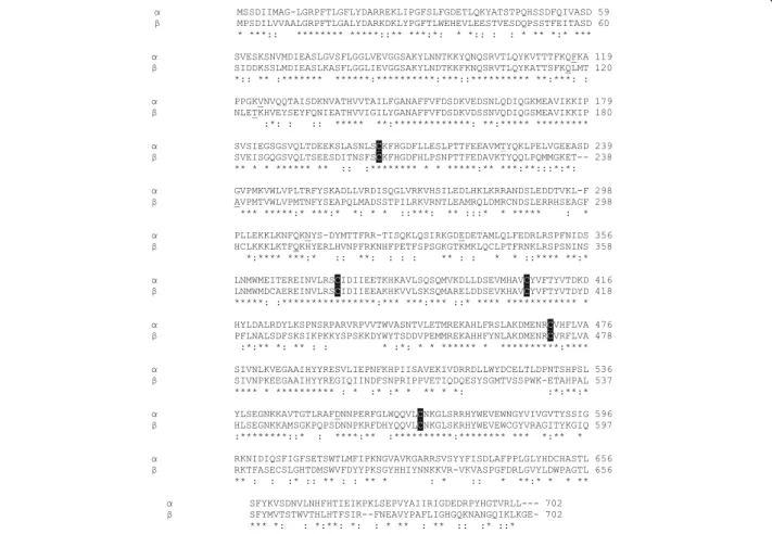 Fig. 2 Nucleotide and deduced amino-acid sequences of cDNAs encoding Sp-CTx-α a and β-subunit b