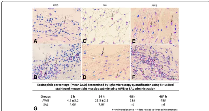Fig. 8 Histopathological analysis of the presence of eosinophils in uninfected mice. The evaluation was performed by using Sirius Red staining of quadriceps muscles from the back of the hind thigh collected from mice submitted to AWB and SAL therapy