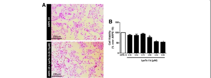 Fig. 1 LyeTx I b does not alter the morphology of ARPE-19 cells and maintains cell viability above 50%