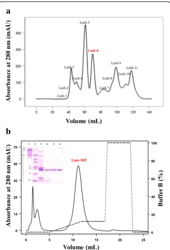 Fig. 1 Chromatographic profiles of metalloprotease from L. m. rhombeata venom. a Fractionation of Lachesis muta rhombeata venom by molecular exclusion chromatography on a HiPrep Sephacryl® S-100 HR column (1.6 × 60 cm) using 0.05 M sodium acetate buffer wi