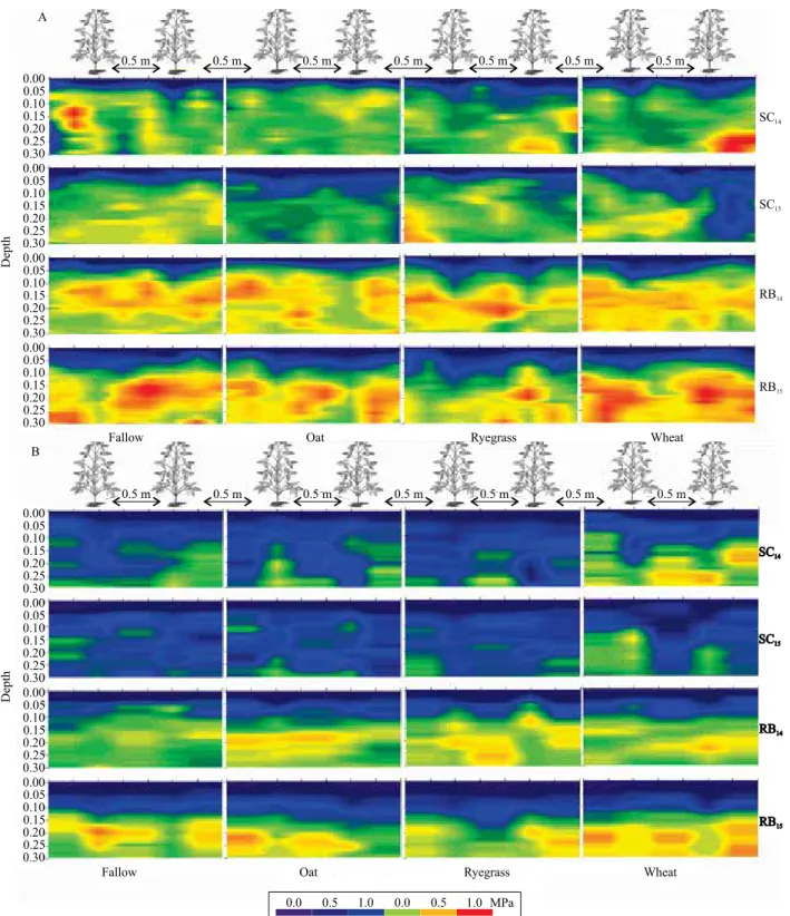 Figure 1.  Soil resistance to mechanical penetration perpendicular to sowing grooves in December 2015 (A) and April 2016  (B), in the experimental area in the municipality of Santa Maria, in the state of Rio Grande do Sul, Brazil