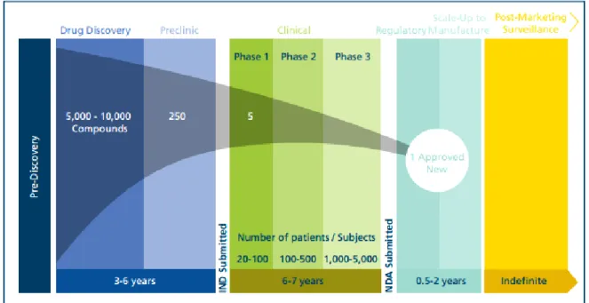 Figure 13 Pharmaceutical R&amp;D Process (26) 